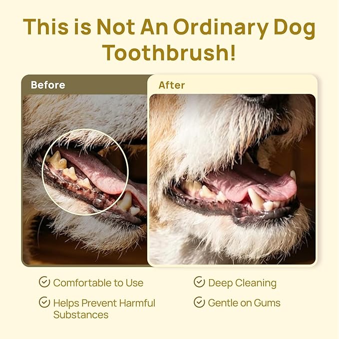 HICC PET Toothbrush for Dogs & Large Cats, Vet-Recommended Ergonomic Pet Toothbrush for Easy Teeth Cleaning, Gentle on Gums, Cat & Dog Dental Care, Improves Oral Hygiene. Toothpaste Not Included