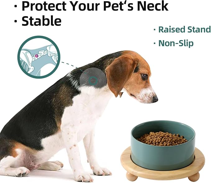 Havniva Raised Cat Bowl 6.1” Elevated Ceramic Cat Food and Water Bowl | Cat Bowls Elevated, Whisker Friendly Cat Bowl, Non-Slip Wood Stand, Food-Grade Ceramic, Wide Opening, Dishwasher Safe