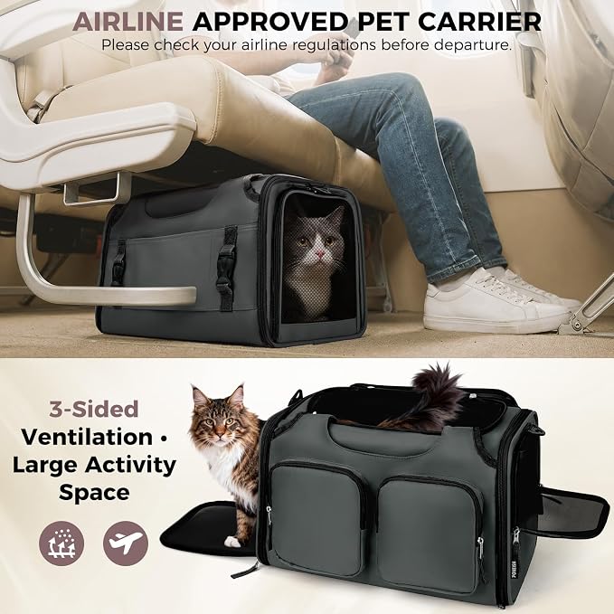 Dog Cat Carrier Airline Approved Collapsible Soft-Sided Pet Travel Bag | Pet Carrier Up to 12 lbs, Locking Zippers, Breathable Mesh, 4 Large Pockets, Removable Fleece Pad, Dark Grey