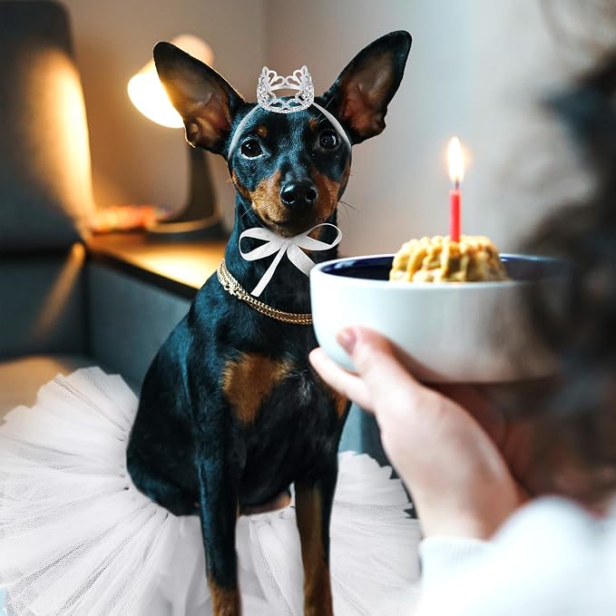 2 Pcs Dog Crown Headband Dog Tutu Dress Set Crystal Rhinestone Tiara Crown Tutu Skirt Pet Dress Costume for Puppy Birthday Party Wedding Photo Prop Costume(Small,White)