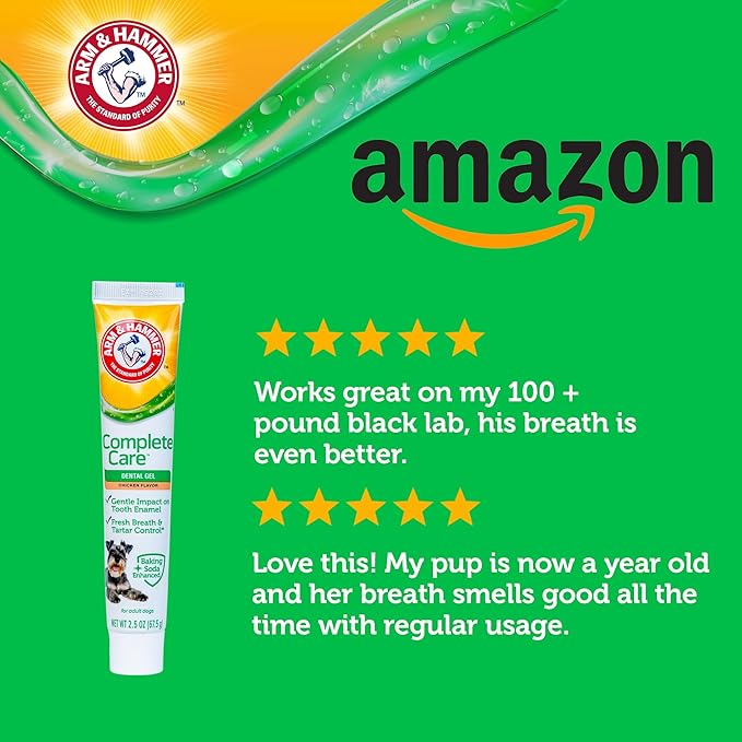 Arm & Hammer Complete Care Dental Gel, Gel-Style Dog Toothpaste - Fresh Breath, Tartar Control, Gentle on Enamel, Fluoride Free - Baking Soda Enhanced Dental Dog Supplies, Chicken Flavor, 2.5oz