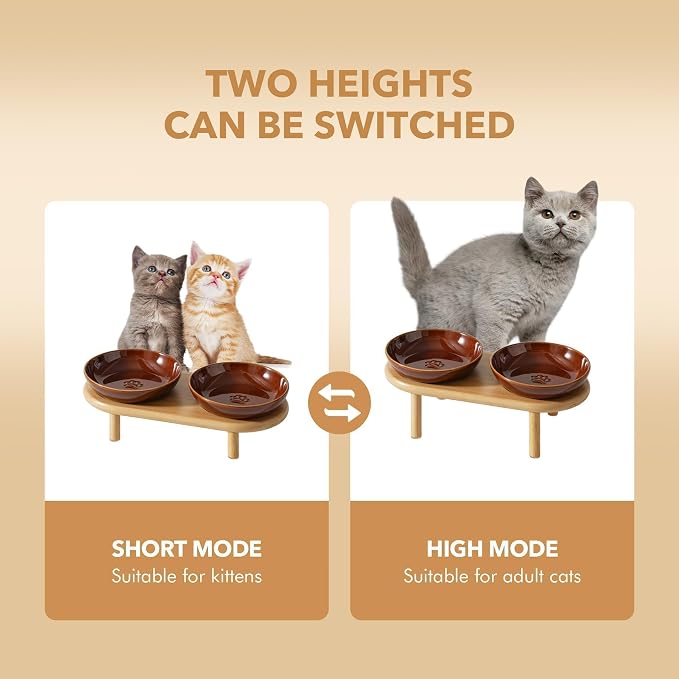 Havniva Elevated Cat Bowls, Ceramic Cat Bowl with Bamboo Stand Wide Opening | 5.7” Raised Cat Food Bowls, Whisker Friendly Cat Dish, Anti-Slip Cat Water Bowls, Shallow Cat Bowls, Cat Food & Water Bowl