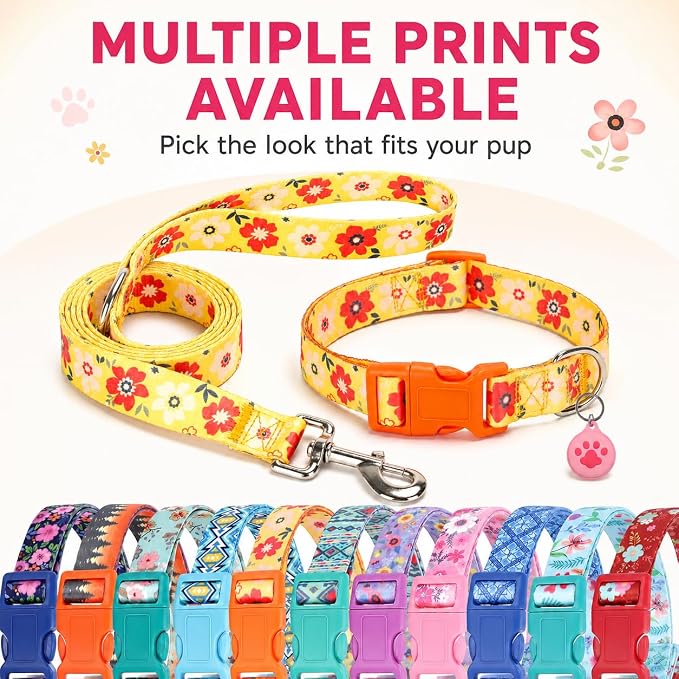 Floral Matching Dog Collar and Leash Set with AirTag Holder-Orange Daisy/S | Anti-Lost,Adjustable Durable Pet Collar Leash Combo for Small Boy Girl Dogs,for Outdoor Walking Hiking Training Running