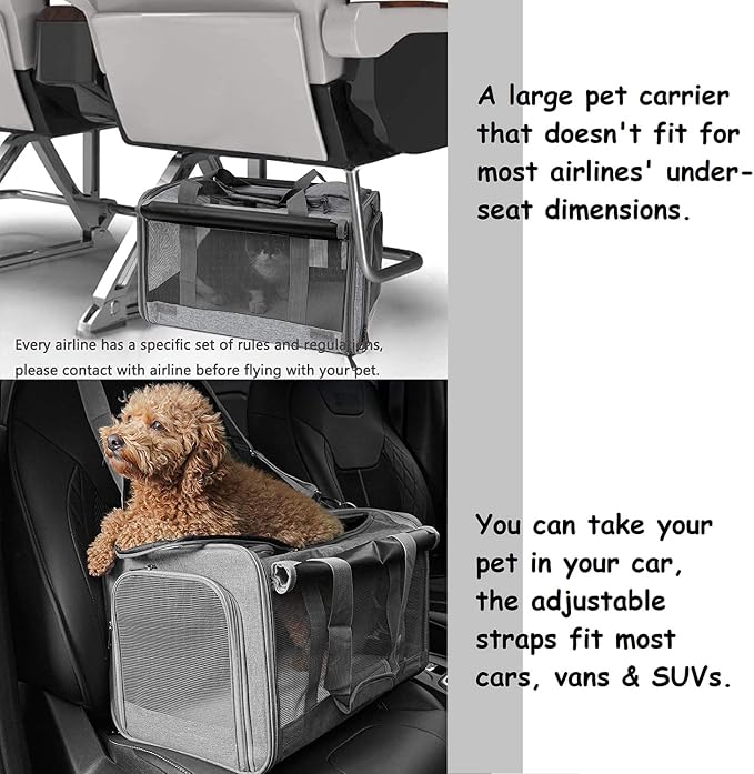 GAPZER Pet Carrier for Large Cats up to 20lbs Soft-Sided Privacy Protection | Pet Crate for Medium to Big Kitten Small Puppy Transport, Washable Dog Cloth Carry Bag Home Outdoor Car Travel, Vet Visits