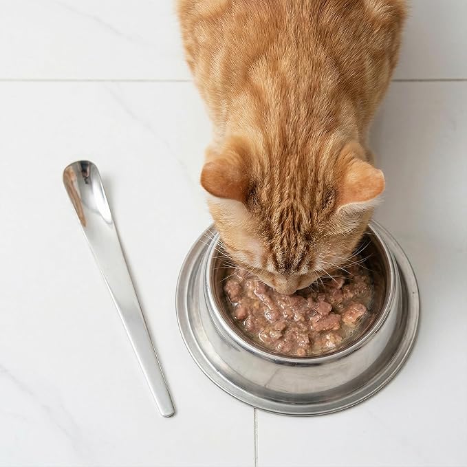 4 Pcs Dog Cat Spoon Pet Food Can Spoon Wet Food Storage Stainless Steel Can Scoop Long Handle Foods Scoop Feeder Portable Pet Feeding Spoons for Wet Foods and Cans