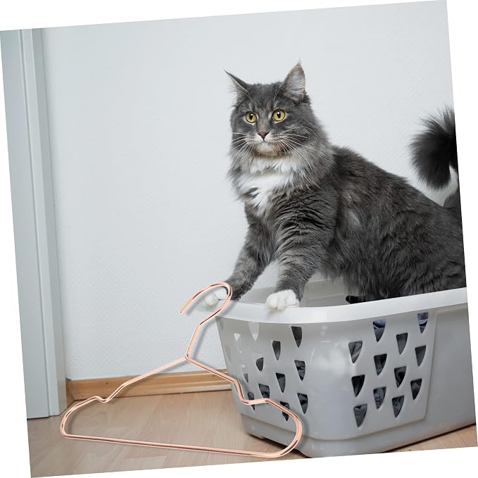 3pcs Pet Clothes Hangers Garment Storage Rack for Neat Organization Thickness for Dog and Cat Apparel