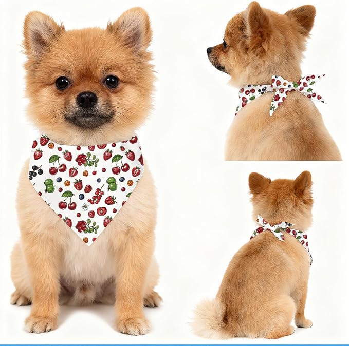 Berry Dog Bandana, Mixed Berry Fruit Pattern Pet Triangle Scarf for Small Medium Dogs, Cute Puppy Bandana for Daily Wear Walks Picnic Birthday Party Family Photos