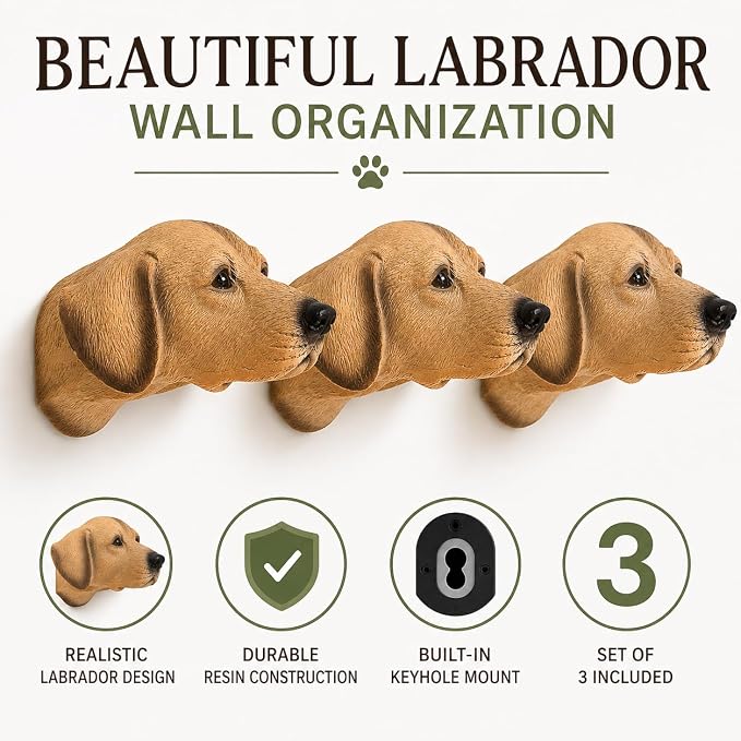 Wowser Labrador Retriever Leash Hangers, Set of 3 – Realistic Dog Wall Hooks for Leashes, Collars, Harnesses, Keys & Pet Accessories, Decorative Labrador Wall Decor for Entryway, Mudroom & Home