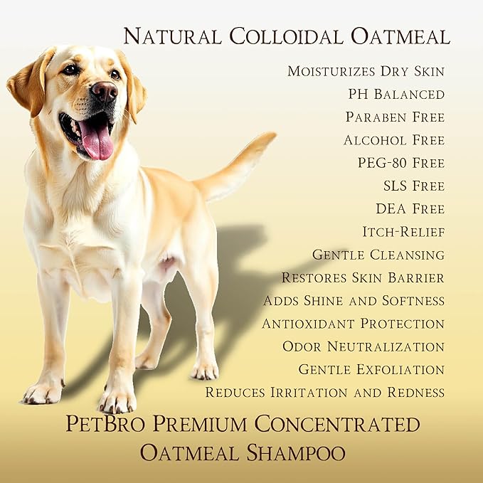 Premium Concentrated Oatmeal Dog Shampoo with Coconut and Aloe (17 oz) - Soothing and Itch Relief, Moisturizes Dry Skin