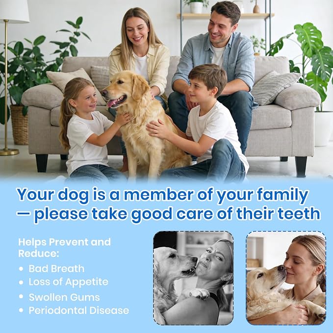 Dog Plaque Remover for Teeth,Pet Ultrasonic Tooth Cleaner,Green | dog teeth cleaning,plaque remover for teeth,dog tartar and plaque remover,plaque off for dogs,5 Mode Pet Teeth Cleaning Kit
