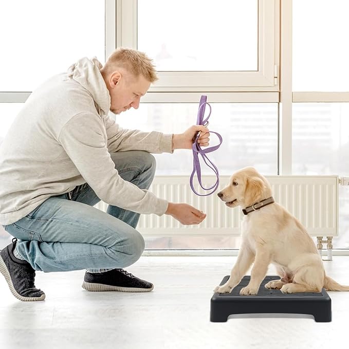 Dog Training Place Board with Non-Skid Surface, Dog Platform for Training, Portable Dog Agility Platform, Dog Training Stand, Dog Training Equipment Suitable for Small Dogs, 17x13x3.14Inch