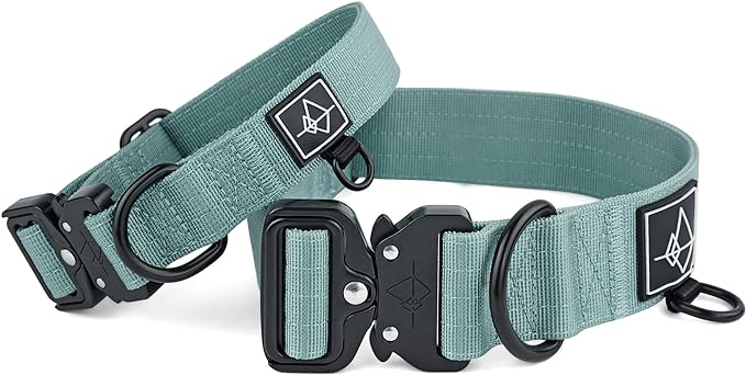 MADE TO ROAM Explorer Dog Collar | Heavy Duty Nylon & Durable Metal Buckle | Premium adjustable collar with rust-resistant hardware. Fits small to large dogs. 15 colors. Matching leash & harness