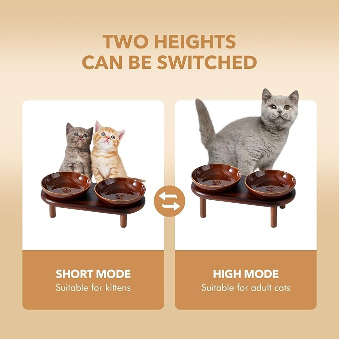 Havniva Elevated Cat Bowls, Ceramic Cat Bowl with Wood Stand, Wide Opening | 5.7” Raised Cat Food Bowls, Whisker Friendly Cat Dish, Anti-Slip Cat Water Bowls, Shallow Cat Bowls, Cat Food & Water Bowl