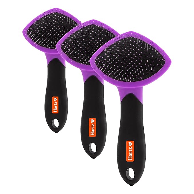 Hartz Groomer's Best Small Slicker Brush for Cats and Small Dogs, Black/Violet, 1 Count (Pack of 3)