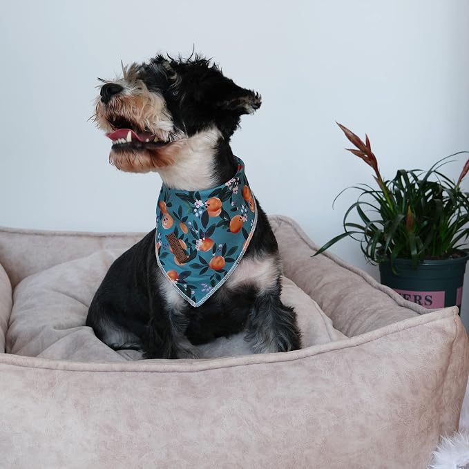 Summer Dog Bandana - Comfortable Cotton Triangle Bid Scarf for Medium Large Dogs - Washable Pet Kerchief for Girl Boy - Peach and Green Classic Scarf