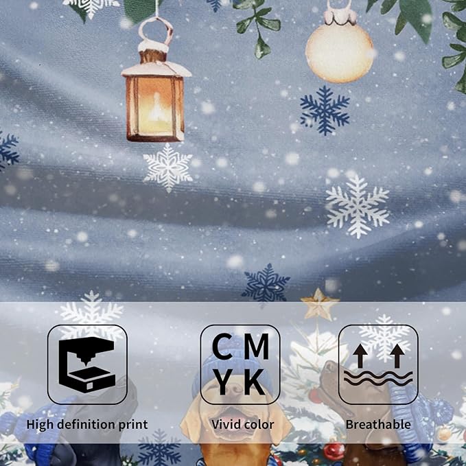 Giwawa Winter Dog Towel Set of 2, Christmas Trees Snowman Presents Funny Puppy Decorative Hand Towels, Xmas Snow Scene Soft Microfiber Face Towel Washcloth for Bathroom Guest Gym Spa Hotel