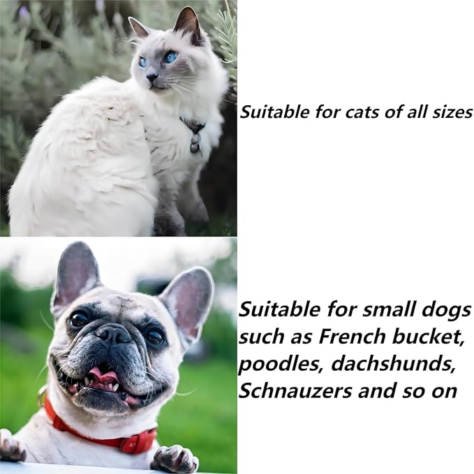 Cat Costume - Cute Ghost Bib & Pumpkin Hat for Cats and Small Sized Dogs, Festive Pet Apparel, Adjustable and Breathable Dog Witch Costume