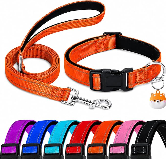 Reflective Soft Neoprene Padded Matching Dog Collar with Leash Airtag Holder Case Set Safety Breathable Adjustable Nylon Dog Collars for X-Small Small Medium Large Dogs-Orange-XS