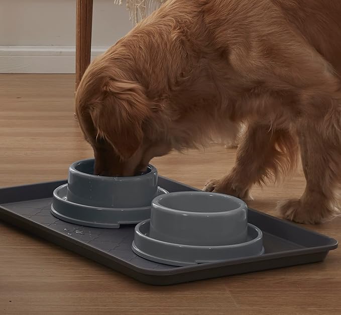 PetLike Dog Bowls Pet Food Bowls, No Spill Cat Food Bowl Water Food Feeder Pet Dishes for Cat Puppies Small Medium Dogs