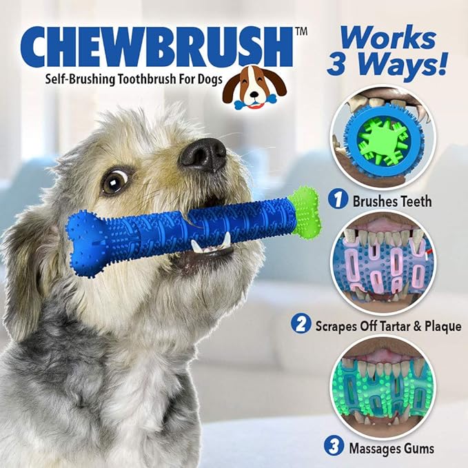 BulbHead Chewbrush Toothbrush and Toy - No Dog Toothpaste Required - Great Teeth Cleaning Toy (1 Pack)