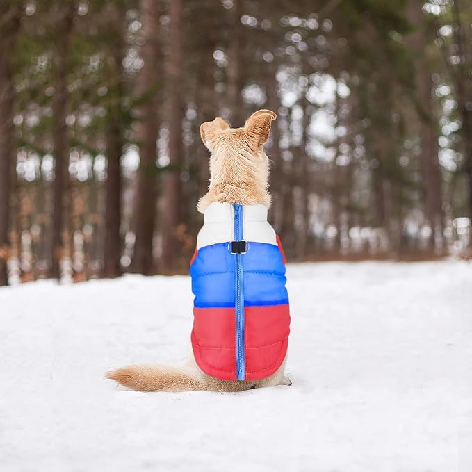 Idepet Pet Dog Cat Coat with Leash Anchor Color Patchwork Padded Puppy Vest Jacket Teddy Chihuahua Costumes Pug Cloth XS S M L(XX-Large,Red)