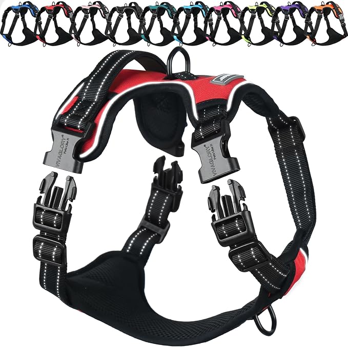 VIVAGLORY No Pull Dog Harness Vest Harness, XS, Red - Plain | with Handle Front and Back Clip for Training & Pulling, No Pull & Escape Proof Padded Adjustable for Pet Puppy
