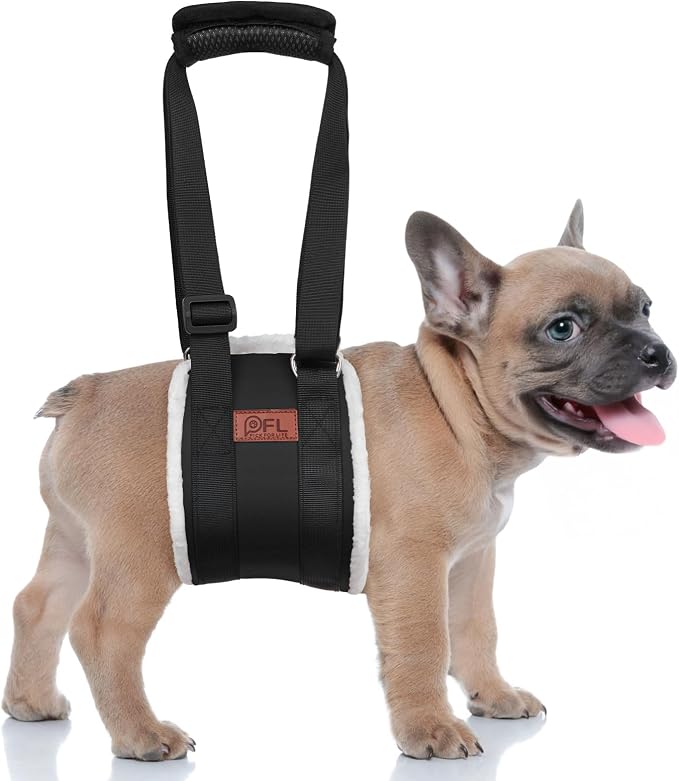 Adjustable Dog Lift Harness for Small Dogs Hind Leg Support Weak Legs Aid | Dog Sling, Helps Seniors, Injured, Disabled and After ACL Surgery Dogs, Daily Walk/ Stairs, Soft Padded, Easy to Use