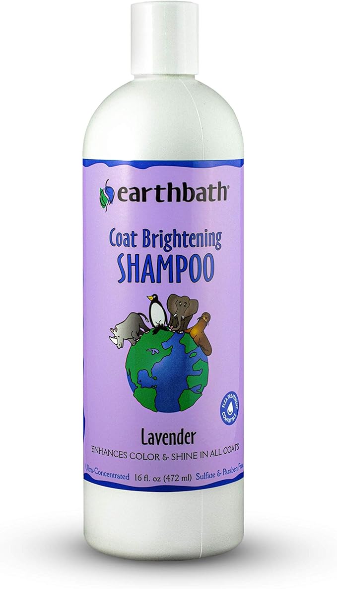 earthbath, Lavender Dog Shampoo - Coat Brightening Shampoo for Dogs, Deodorizing Dog Wash, Made in USA, Shampoo for Smelly Dogs, Cruelty Free Pet Shampoos - 16 Oz (1 Pack)