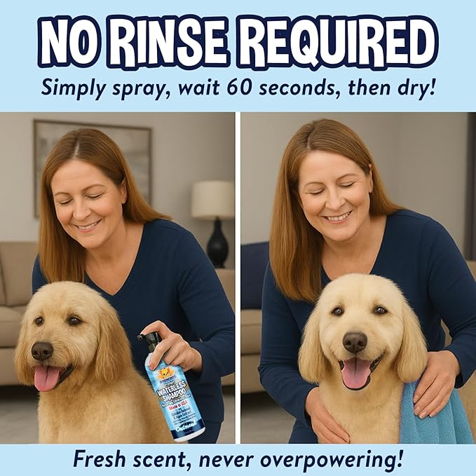 Bodhi Dog Waterless Shampoo - Natural Dry Shampoo for Dogs & Cats - Neutralizes Pet Odor - No Rinse Required - Made of Natural Extracts - Safe for Sensitive Skin - Oatmeal & Apple (8 Fl Oz)