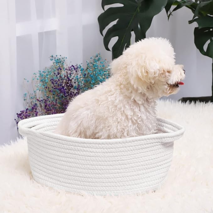 ABenkle Small Basket with Handles, Boho Decorative Rope Woven Dog Cat Toy Storage Bin Shelf Storage Organizer, Easter Christmas Gift Basket, 12"x8"x5", White