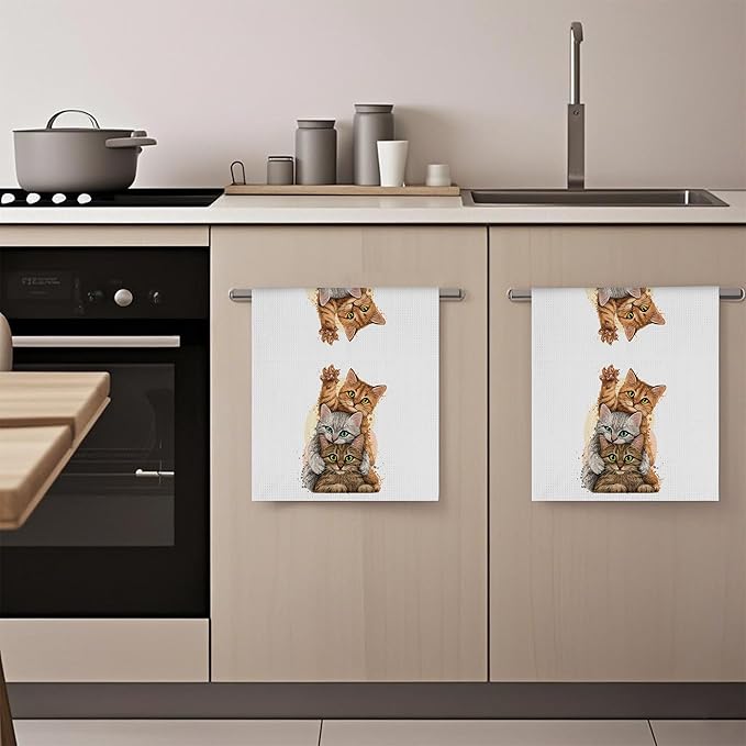 Cute Kittens Cat Hand Towels,Set of 2 Absorbent Bath Towel Kitchen Dish Towel Home Gym Hotel Bathroom Decor,16x24 Inches