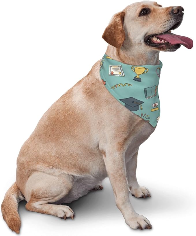 Teacher's Pet Dog Bandana,Funny Bandana Gift,Photo Prop Accessories for Dog Lovers Owner Gift,Triangle Reversible Fall Scarf, Adjustable (Sage Green)