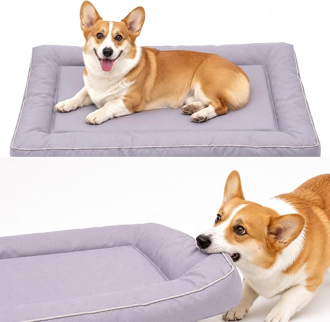 Dog Crate Mat Compatible with Kong, Heavy-Duty Chew-Resistant Crate Pad, Waterproof Oxford Fabric, Non-Slip Bolster Bed, 36" x 22", Gray, Easy to Clean