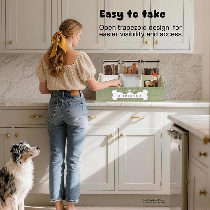 Dog Treat Container, Dogs Storage Organizer with Removable Dividers, Collapsible Dogs Treat Holder for Countertop, Trapezoid Pet Treats Containers, Dog Toy Basket with PU Handles, Medium, Green