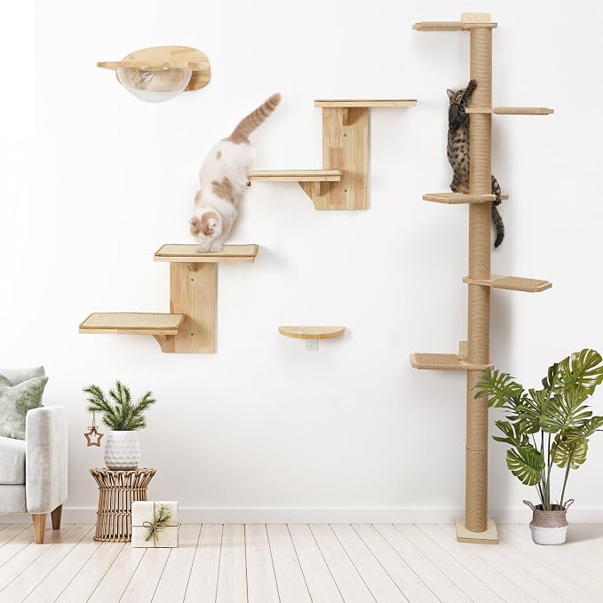 FUKUMARU Cat Wall Shelves, 2 Platform Kitten Wall Furniture, Tree Shape Wall-Mounted Floating Shelf with Sisal Mat, Solid Rubber Wood Cats Perch for 16 Inch Drywall, Suitable for Climb, Play, Nap | Floating Shelf Kitten Furniture, Solid Rubber Wood Cat...