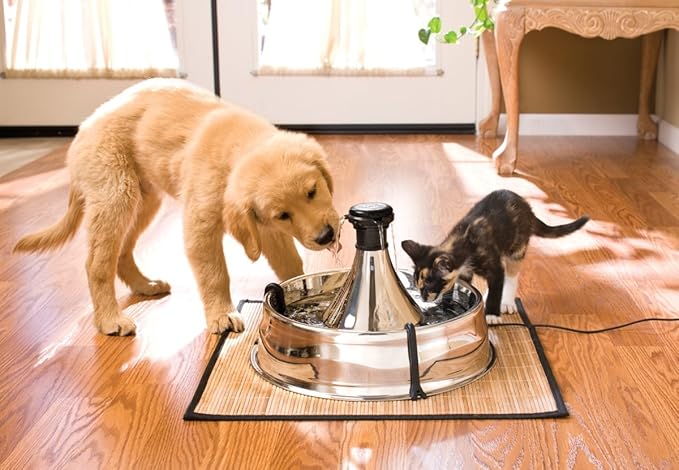 PetSafe Drinkwell Stainless Steel 360 Multiple Pet Fountain - Scratch and Rust Resistant Automatic Water Dispenser for Cats or Dogs - Adjustable Flow Control - 128 Ounce (3.8 Liter) - Filters Included