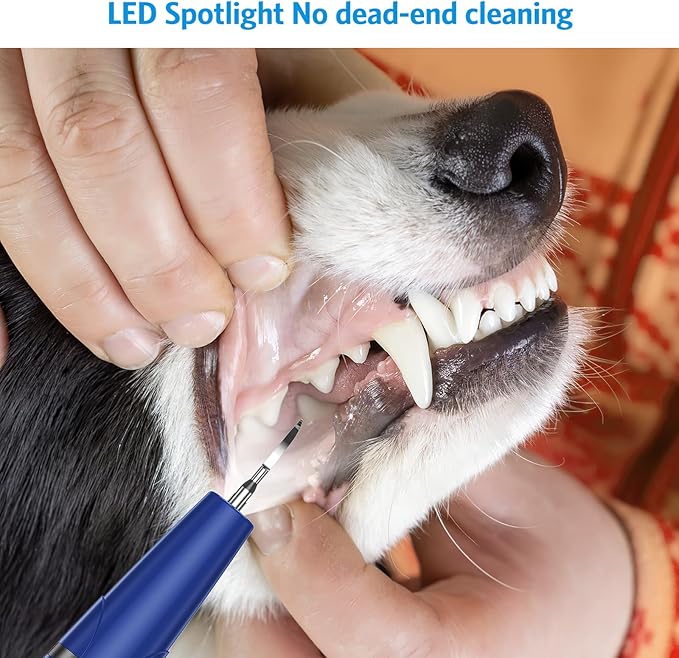 AMIR Ultrasonic Pet Plaque Remover, Electric Teeth Cleaning Kit for Dogs & Cats with 5 Modes, LED Light, IPX6 Waterproof, USB Rechargeable Toothbrush Cleaner for Dogs Cats (Blue)