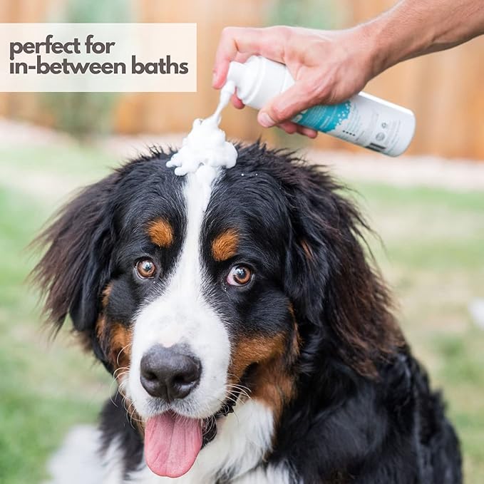 Mighty Mutt Hypoallergenic Waterless Shampoo for Dogs | Dry Shampoo for Dogs | Waterless Foam No Rinse | Anti-Itch, Soothing and Deodorizing | Spring Meadow | 8 Fl Oz