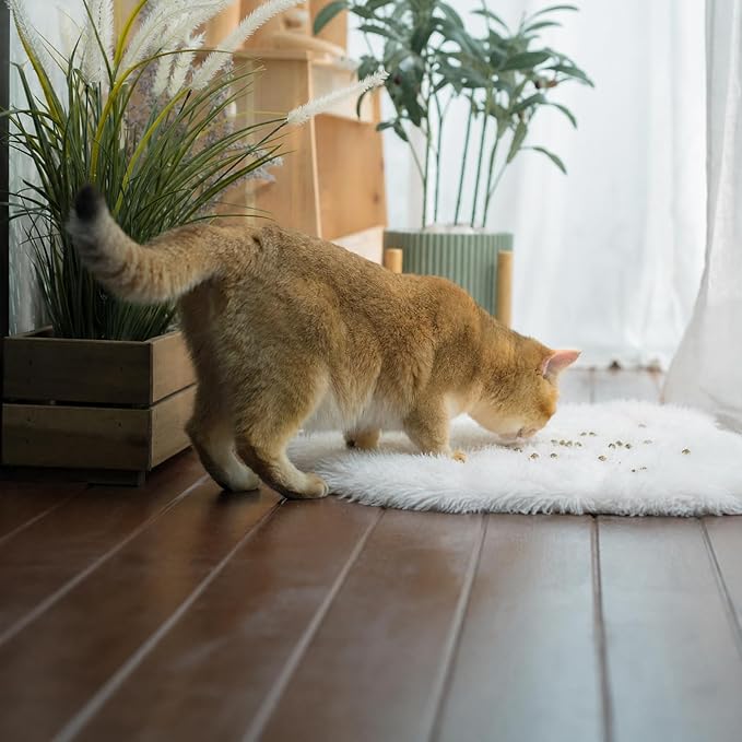 Fluffy Cat Bed Mat 19.6"x31.4" Furry Small Dog Cats Cushions for Indoor | White Faux Fur Fuzzy Puppy Pads for Pet Sleep