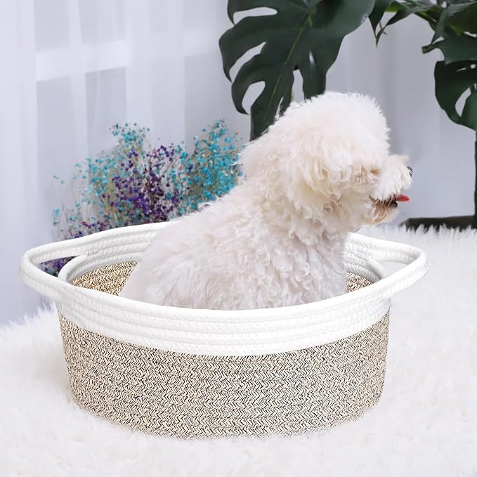 ABenkle Small Basket with Handles, Boho Decorative Rope Woven Dog Cat Toy Storage Bin Shelf Storage Organizer, Easter Christmas Gift Basket, 12"x8"x5", Mixed Brown