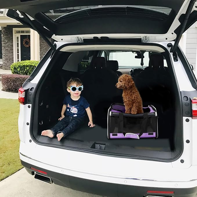 GAPZER Carrying Bag Yorkie Dog Travel Kennel Ventilated Soft Pet Carrier | Privacy Protection Big Kitten Car Travel Cloth Carry Bag up to 20 lbs, Small Animal Portable Mesh Kennel Cage for Vet Visits