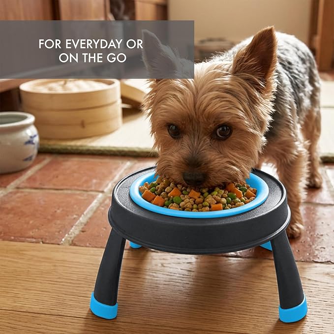 Dexas Pets Elevated Pet Feeder, Small, 1.5 Cup Capacity, Blue, Raised Pet Food and Water Bowl