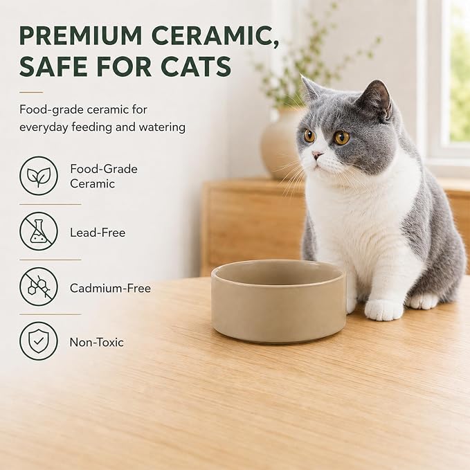 Havniva Cat Bowls Set of Two, 5.1” Ceramic Cat Food Bowls, Cat Water Bowl | Cat Food and Water Bowl Set, Non-Slip Base, Food-Grade Ceramic, Wide Opening, Dishwasher Safe, Pet Bowls Whisker Friendly