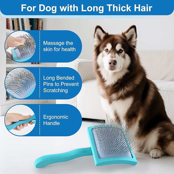 Slicker Brush for Dogs, Slicker Brush for Doodles Long Haired Dog, Goldendoodle Long Pin Detangler for Dematting, Dog Slicker Brushes for Grooming (Large Curved)(Blue)