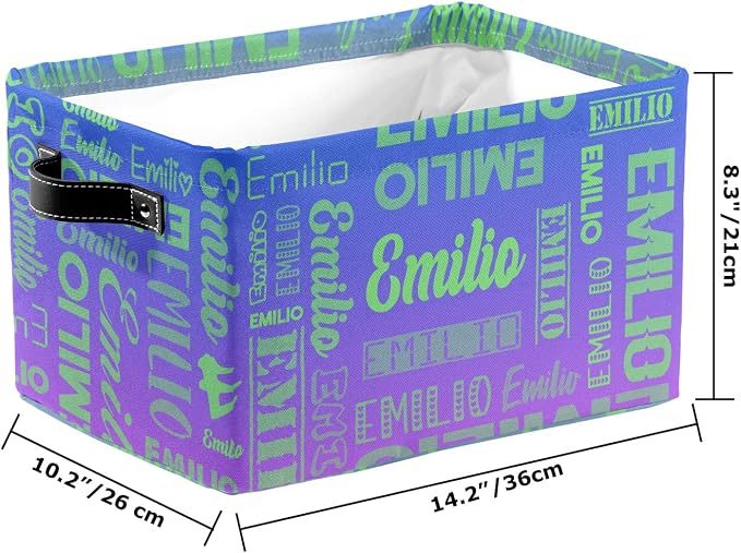 Personalized Toy Box Storage Bins for Boys Girls with Name, Kids Custom Storage Basket Cubes Organizer with Handles, Shelf Closet Storage Baskets Bin Customized Gift, 1 Pack
