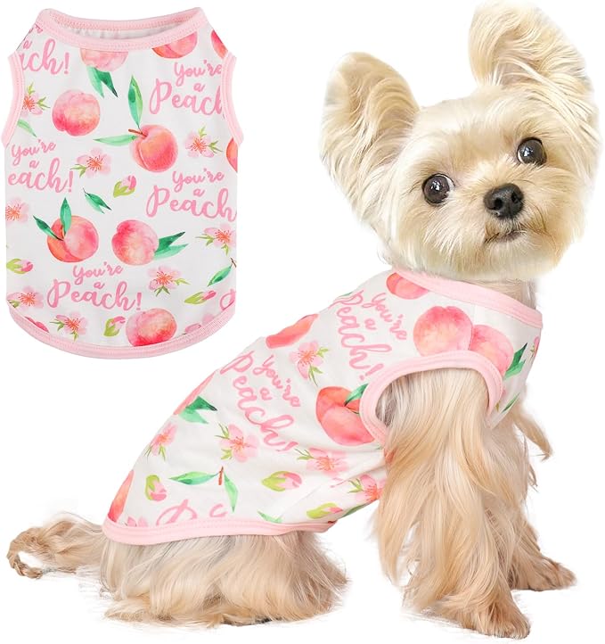 Dog Shirt Vest Dog Clothes for Small Dogs Boy Girl Stretchy Summer Puppy T-Shirts Soft Breathable Lightweight Puppy Sweatshirt Pet Cat Outfit (Peach, Small)