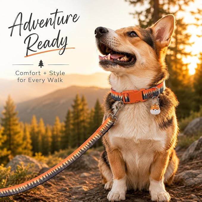 Matching Dog Collar and Leash Set with AirTag Holder-Forest/S | Anti-Lost,Adjustable Durable Pet Collar Leash Combo for Small Boy Girl Dogs,for Outdoor Walking Hiking Training Running