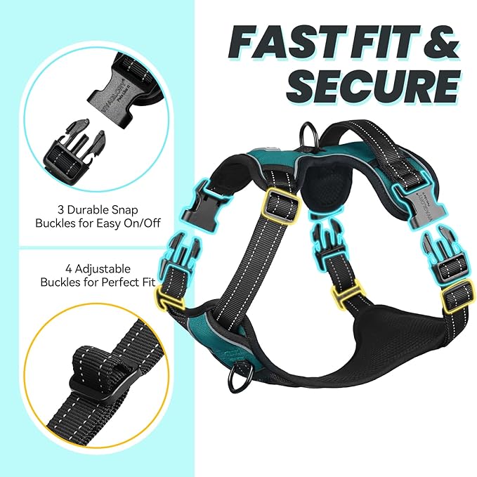 VIVAGLORY No Pull Dog Harness Vest Harness, M, Hunter Teal - Plain | with Handle Front and Back Clip for Training & Pulling, No Pull & Escape Proof Padded Adjustable for Pet Puppy
