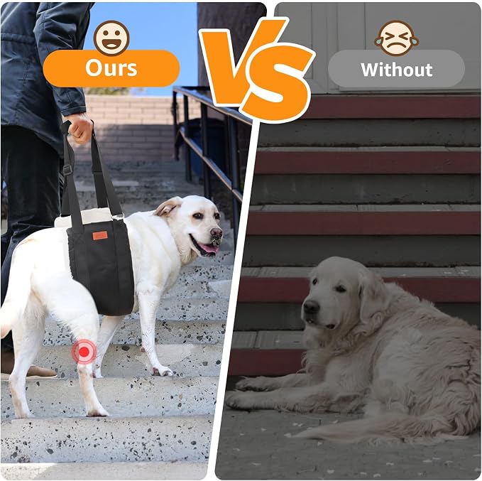 Adjustable Dog Sling for Large Dogs Hind Leg Support Weak Legs Mobility Aid | Dog Lift Harness, Helps Seniors, Injured, Disabled and After ACL Surgery Dogs, Daily Walk/ Stairs, Soft Padded, Easy to Use