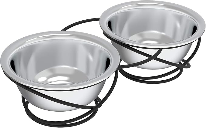 Set of 2 Stainless Steel Dog Bowls - 40oz Pet Bowls with Decorative Dog Food Stand - Metal Food and Water Dishes for Large Pets - Puppy Essentials by PETMAKER (Silver/Black)
